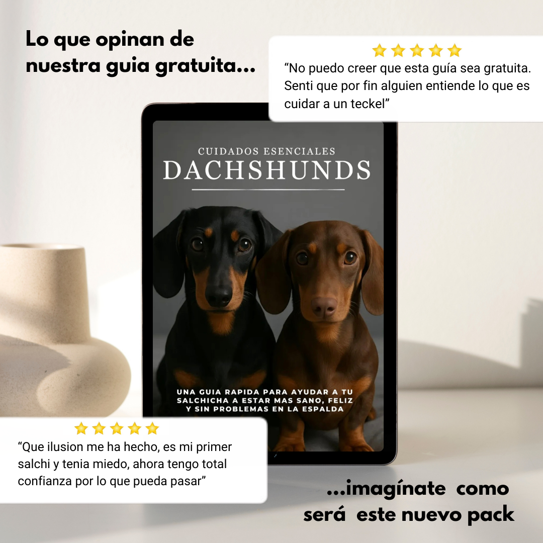 La Guía Completa del Perro Salchicha + Regalos