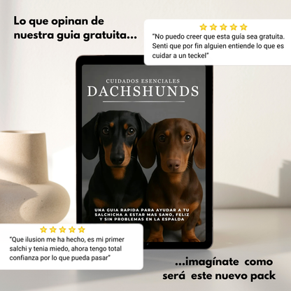 La Guía Completa del Perro Salchicha + Regalos
