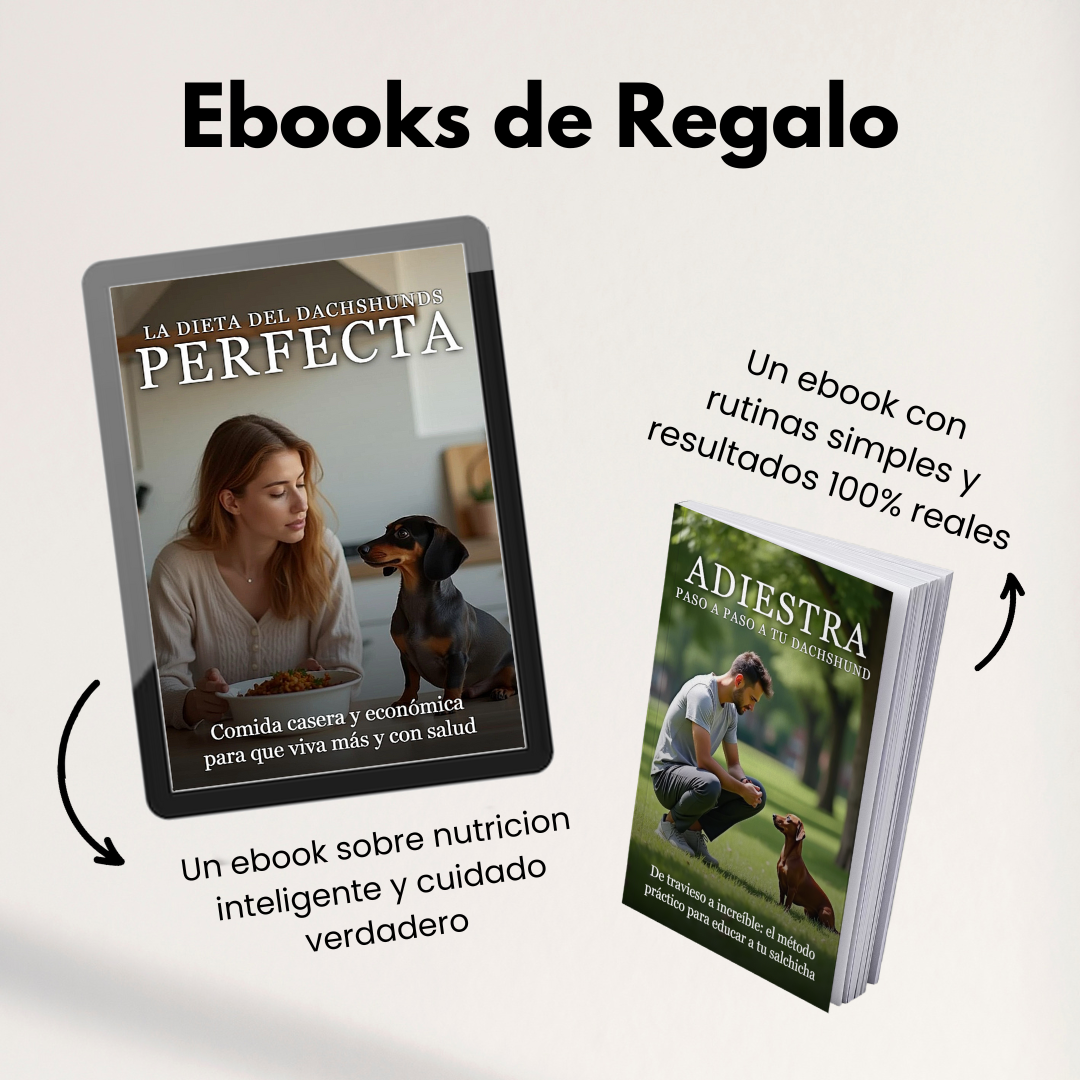 La Guía Completa del Perro Salchicha + Regalos