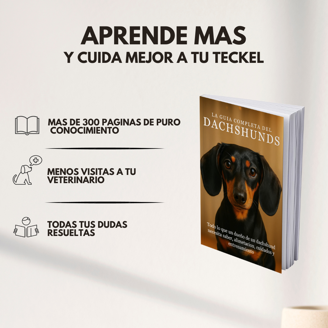 La Guía Completa del Perro Salchicha + Regalos