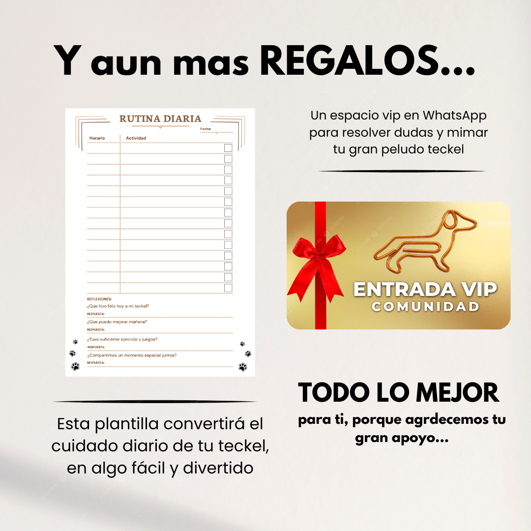 La Guía Completa del Perro Salchicha + Regalos