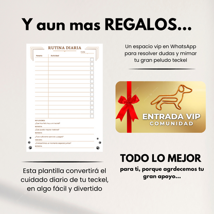 La Guía Completa del Perro Salchicha + Regalos