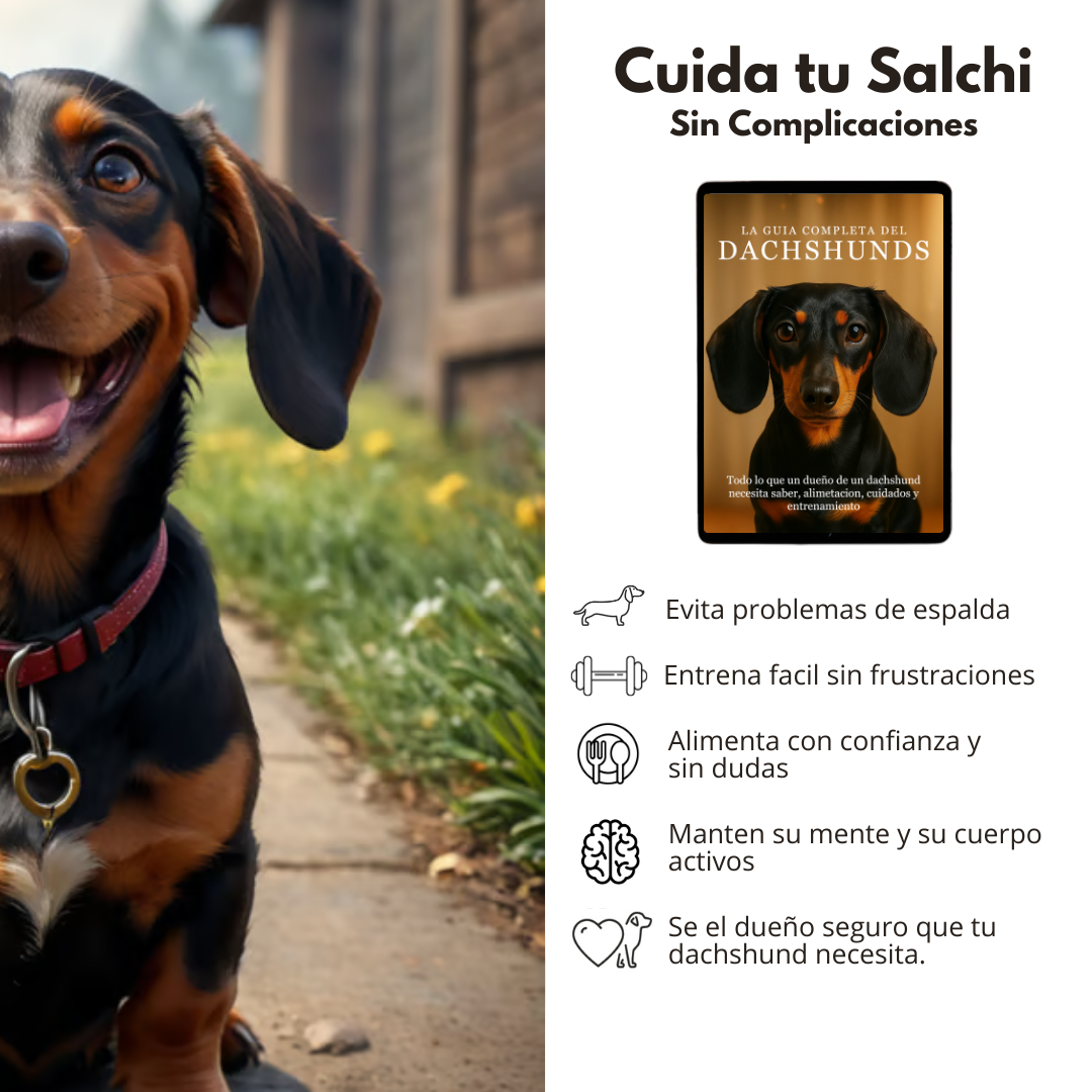 La Guía Completa del Perro Salchicha + Regalos