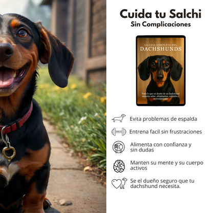 La Guía Completa del Perro Salchicha + Regalos